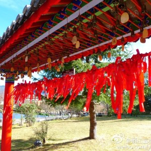 雲南 • 麗江 • 玉水寨