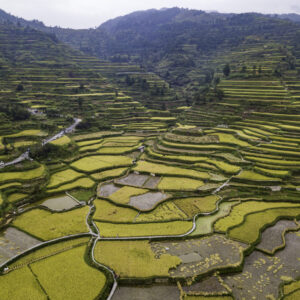 貴州南州雷山西江千戶苗寨梯田